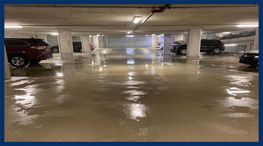 Mannheim Reinigungs Firmen Nett Service Gruppe