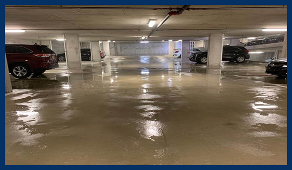 Mannheim Reinigungsfirmen